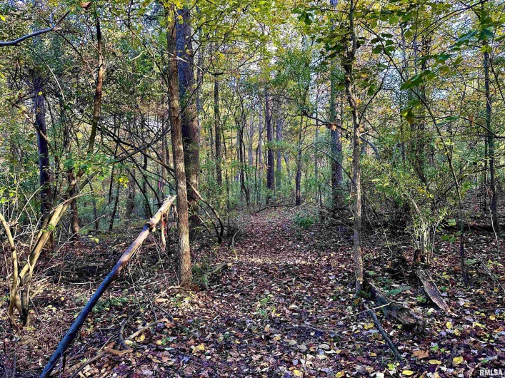 718 Karbers Ridge Road, Elizabethtown, Illinois 62931, 4 Bedrooms Bedrooms, 0 ,2 BathroomsBathrooms,Residential,For Sale,Karbers Ridge,0,RMAEB460367