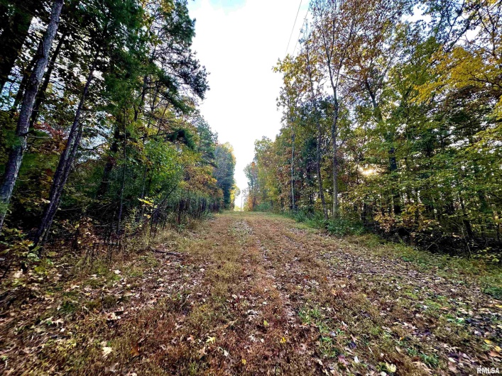 718 Karbers Ridge Road, Elizabethtown, Illinois 62931, 4 Bedrooms Bedrooms, 0 ,2 BathroomsBathrooms,Residential,For Sale,Karbers Ridge,0,RMAEB460367