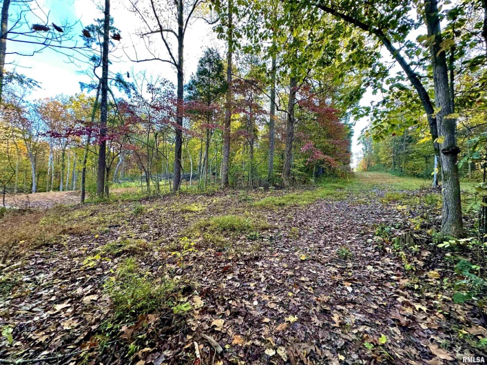 718 Karbers Ridge Road, Elizabethtown, Illinois 62931, 4 Bedrooms Bedrooms, 0 ,2 BathroomsBathrooms,Residential,For Sale,Karbers Ridge,0,RMAEB460367