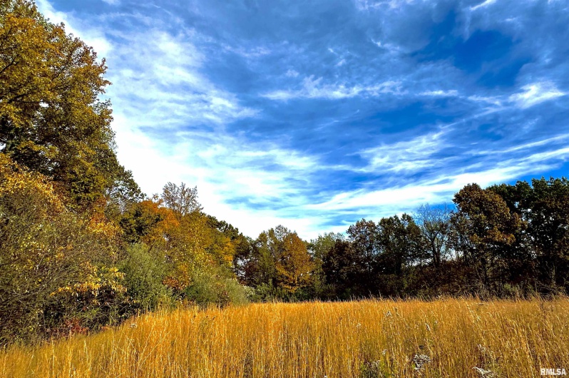 1143 COUNTY LINE Road, Cobden, Illinois 62920, 0 , 0 ,0,Land,For Sale,COUNTY LINE,0,RMAEB460368