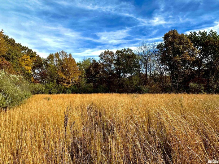 1143 COUNTY LINE Road, Cobden, Illinois 62920, 0 , 0 ,0,Land,For Sale,COUNTY LINE,0,RMAEB460368