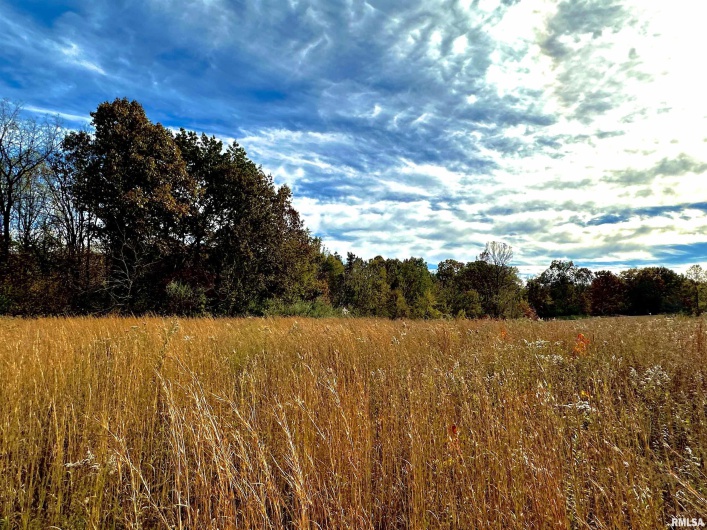 1143 COUNTY LINE Road, Cobden, Illinois 62920, 0 , 0 ,0,Land,For Sale,COUNTY LINE,0,RMAEB460368