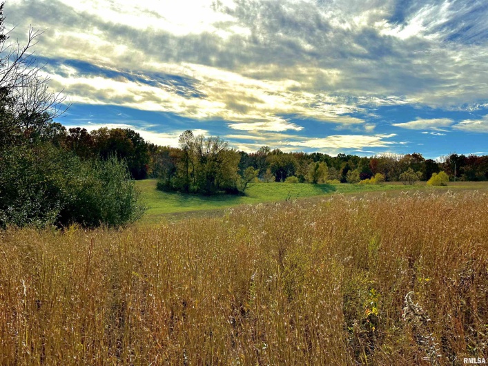 1143 COUNTY LINE Road, Cobden, Illinois 62920, 0 , 0 ,0,Land,For Sale,COUNTY LINE,0,RMAEB460368