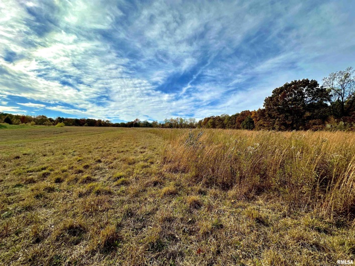 1143 COUNTY LINE Road, Cobden, Illinois 62920, 0 , 0 ,0,Land,For Sale,COUNTY LINE,0,RMAEB460368