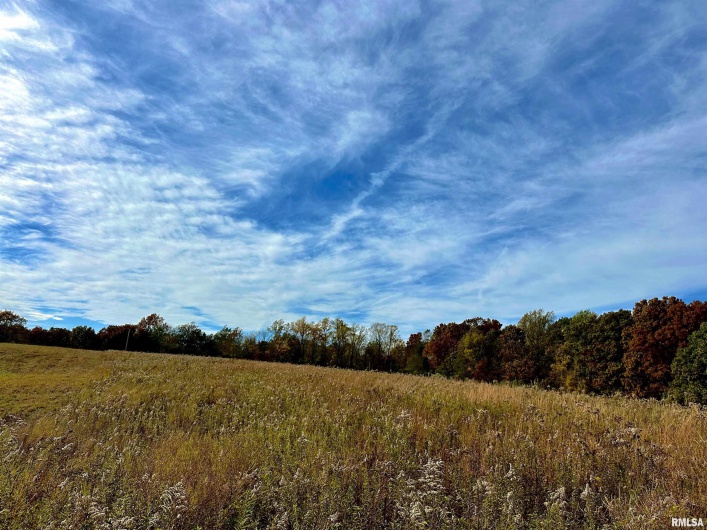 1143 COUNTY LINE Road, Cobden, Illinois 62920, 0 , 0 ,0,Land,For Sale,COUNTY LINE,0,RMAEB460368