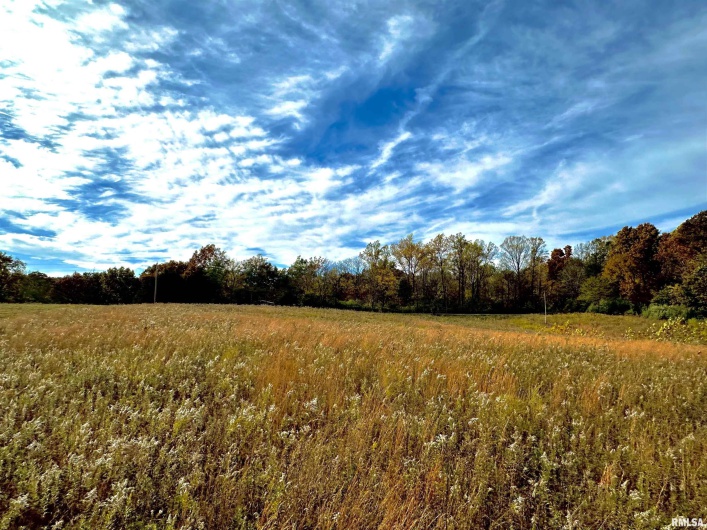 1143 COUNTY LINE Road, Cobden, Illinois 62920, 0 , 0 ,0,Land,For Sale,COUNTY LINE,0,RMAEB460368