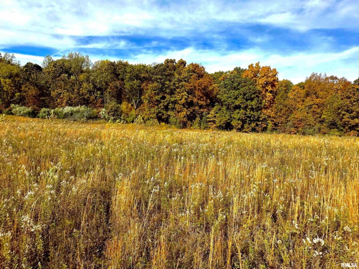 1143 COUNTY LINE Road, Cobden, Illinois 62920, 0 , 0 ,0,Land,For Sale,COUNTY LINE,0,RMAEB460368