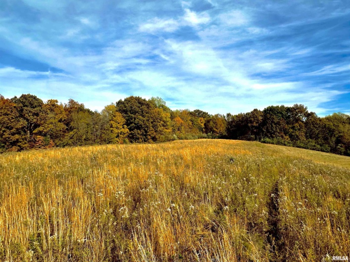 1143 COUNTY LINE Road, Cobden, Illinois 62920, 0 , 0 ,0,Land,For Sale,COUNTY LINE,0,RMAEB460368