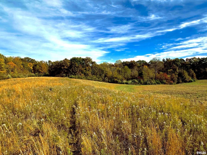 1143 COUNTY LINE Road, Cobden, Illinois 62920, 0 , 0 ,0,Land,For Sale,COUNTY LINE,0,RMAEB460368