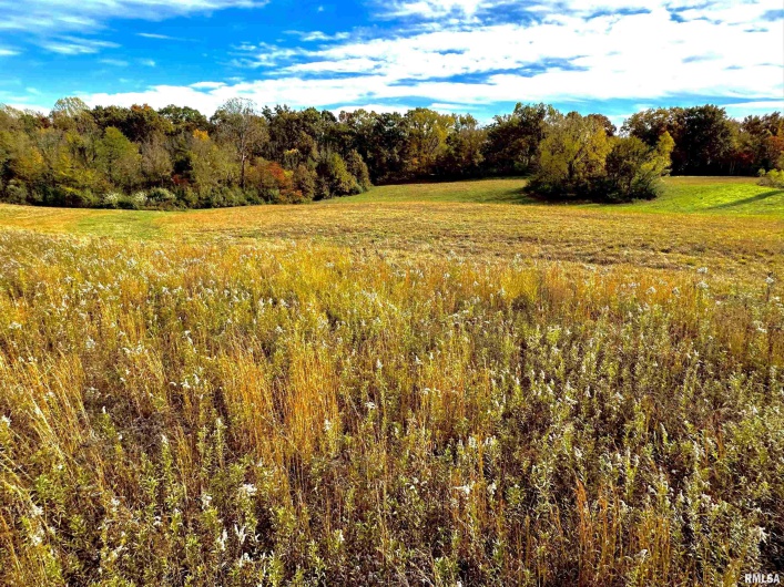 1143 COUNTY LINE Road, Cobden, Illinois 62920, 0 , 0 ,0,Land,For Sale,COUNTY LINE,0,RMAEB460368