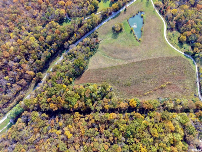 1143 COUNTY LINE Road, Cobden, Illinois 62920, 0 , 0 ,0,Land,For Sale,COUNTY LINE,0,RMAEB460368