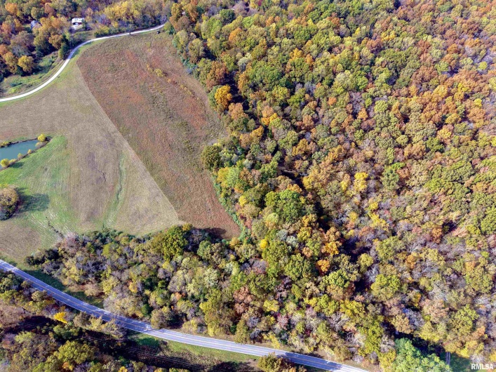 1143 COUNTY LINE Road, Cobden, Illinois 62920, 0 , 0 ,0,Land,For Sale,COUNTY LINE,0,RMAEB460368