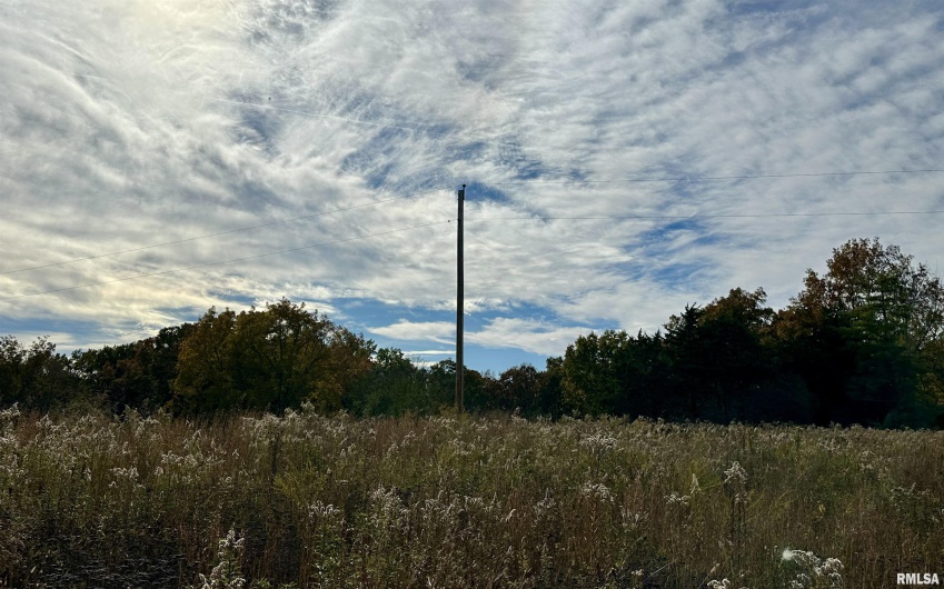 1143 COUNTY LINE Road, Cobden, Illinois 62920, 0 , 0 ,0,Land,For Sale,COUNTY LINE,0,RMAEB460368