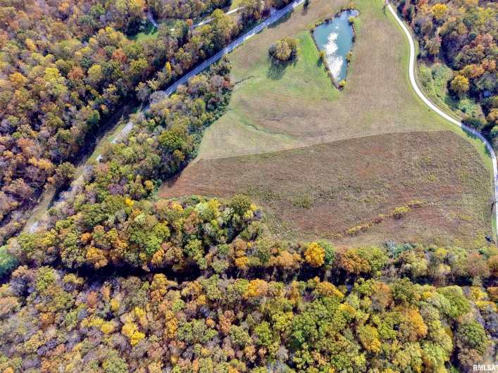 1143 COUNTY LINE Road, Cobden, Illinois 62920, 0 , 0 ,0,Land,For Sale,COUNTY LINE,0,RMAEB460368
