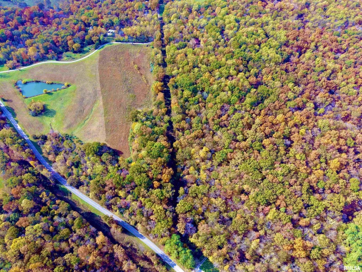 1143 COUNTY LINE Road, Cobden, Illinois 62920, 0 , 0 ,0,Land,For Sale,COUNTY LINE,0,RMAEB460368