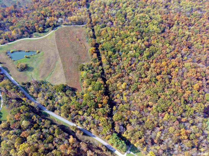 1143 COUNTY LINE Road, Cobden, Illinois 62920, 0 , 0 ,0,Land,For Sale,COUNTY LINE,0,RMAEB460368