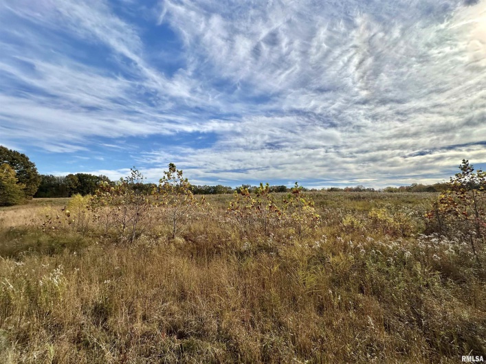 1143 COUNTY LINE Road, Cobden, Illinois 62920, 0 , 0 ,0,Land,For Sale,COUNTY LINE,0,RMAEB460368