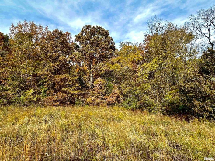 1143 COUNTY LINE Road, Cobden, Illinois 62920, 0 , 0 ,0,Land,For Sale,COUNTY LINE,0,RMAEB460368