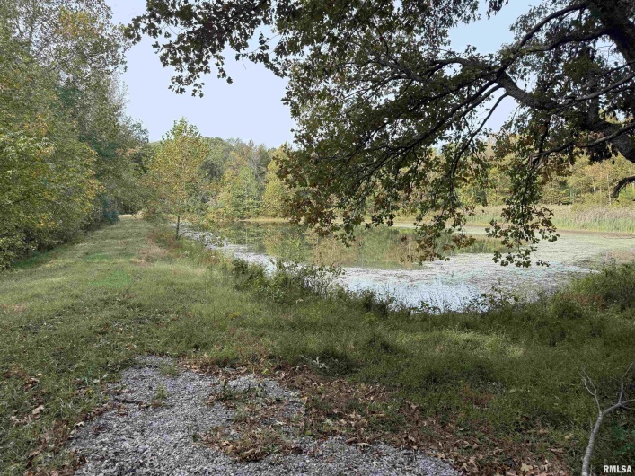 000 Shawnee Hills Road, Equality, Illinois 62934-0000, 1 Bedroom Bedrooms, 0 ,1 BathroomBathrooms,Land,For Sale,Shawnee Hills,0,RMAEB460383