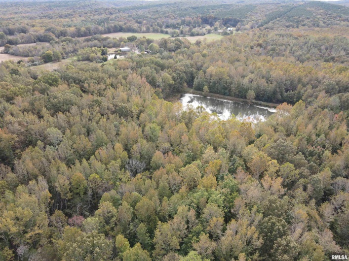 000 Shawnee Hills Road, Equality, Illinois 62934-0000, 1 Bedroom Bedrooms, 0 ,1 BathroomBathrooms,Land,For Sale,Shawnee Hills,0,RMAEB460383