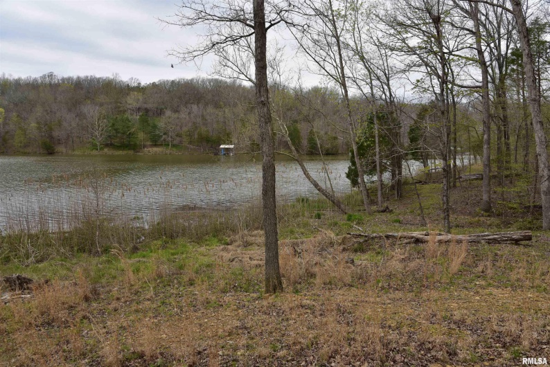 000 Parrish Ridge Road, Goreville, Illinois 62939, 0 , 0 ,0,Land,For Sale,Parrish Ridge,0,RMACA1035966