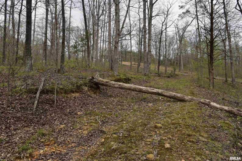 000 Parrish Ridge Road, Goreville, Illinois 62939, 0 , 0 ,0,Land,For Sale,Parrish Ridge,0,RMACA1035966