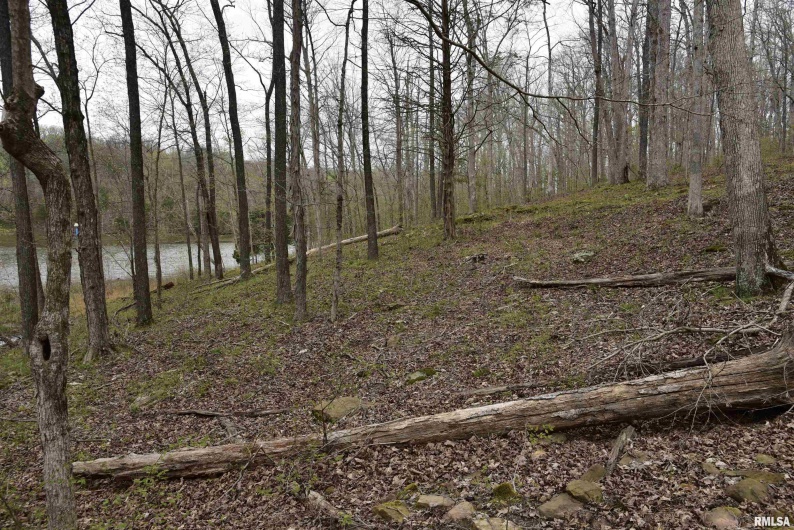 000 Parrish Ridge Road, Goreville, Illinois 62939, 0 , 0 ,0,Land,For Sale,Parrish Ridge,0,RMACA1035966