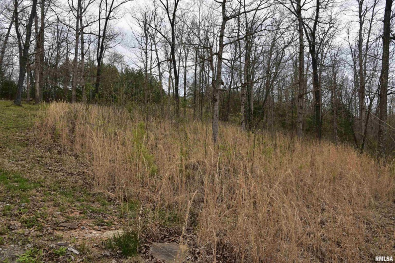 000 Parrish Ridge Road, Goreville, Illinois 62939, 0 , 0 ,0,Land,For Sale,Parrish Ridge,0,RMACA1035966