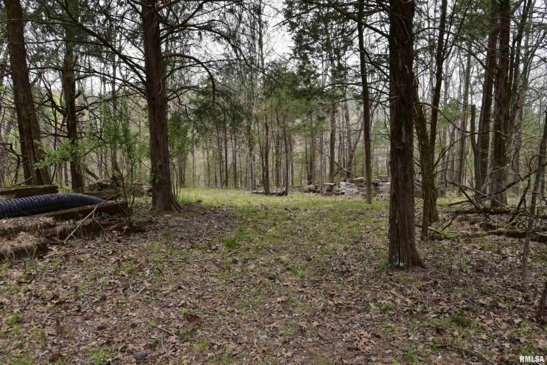 000 Parrish Ridge Road, Goreville, Illinois 62939, 0 , 0 ,0,Land,For Sale,Parrish Ridge,0,RMACA1035966