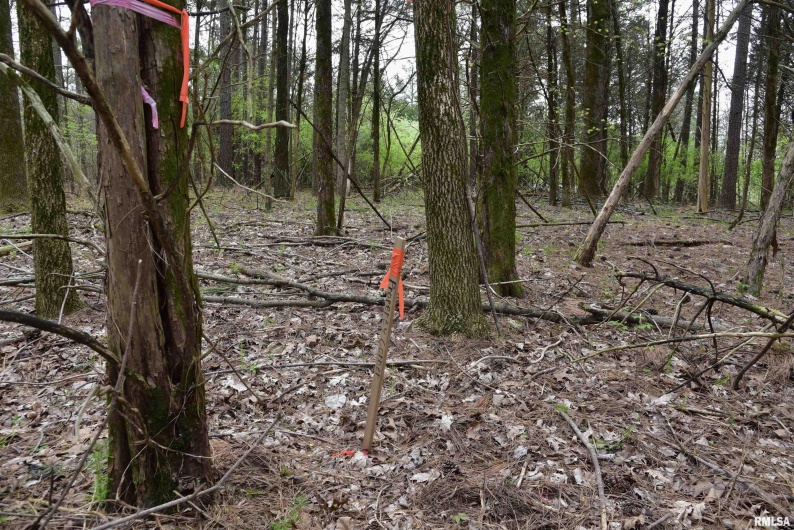 000 Parrish Ridge Road, Goreville, Illinois 62939, 0 , 0 ,0,Land,For Sale,Parrish Ridge,0,RMACA1035966