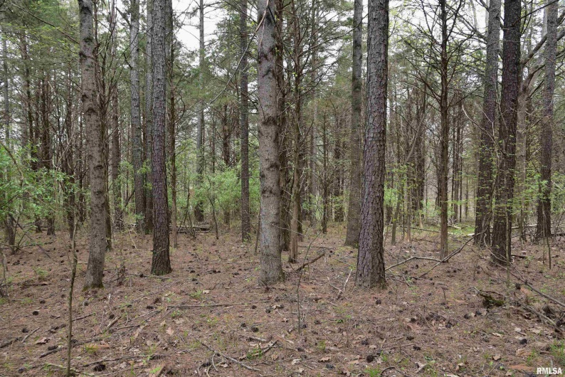 000 Parrish Ridge Road, Goreville, Illinois 62939, 0 , 0 ,0,Land,For Sale,Parrish Ridge,0,RMACA1035966