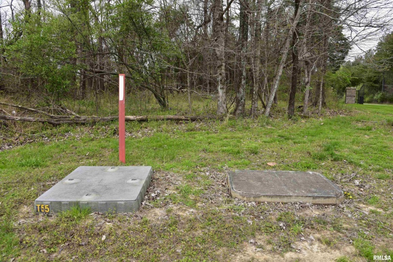 000 Parrish Ridge Road, Goreville, Illinois 62939, 0 , 0 ,0,Land,For Sale,Parrish Ridge,0,RMACA1035966