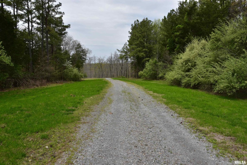 000 Parrish Ridge Road, Goreville, Illinois 62939, 0 , 0 ,0,Land,For Sale,Parrish Ridge,0,RMACA1035966