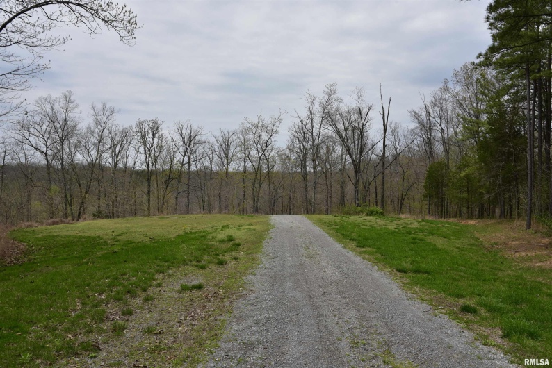 000 Parrish Ridge Road, Goreville, Illinois 62939, 0 , 0 ,0,Land,For Sale,Parrish Ridge,0,RMACA1035966