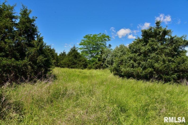 1501 DUNCAN Road, Carrier Mills, Illinois 62917, 4 Bedrooms Bedrooms, 0 ,0,Land,For Sale,DUNCAN,0,RMACA1036716