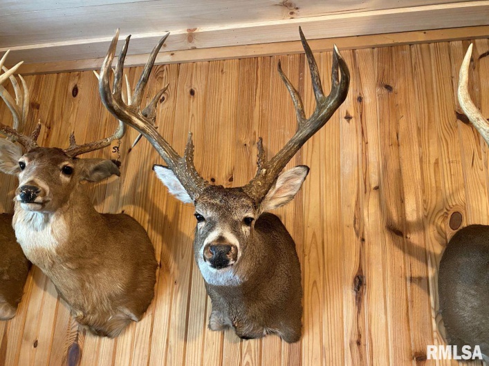 1501 DUNCAN Road, Carrier Mills, Illinois 62917, 4 Bedrooms Bedrooms, 0 ,0,Land,For Sale,DUNCAN,0,RMACA1036716