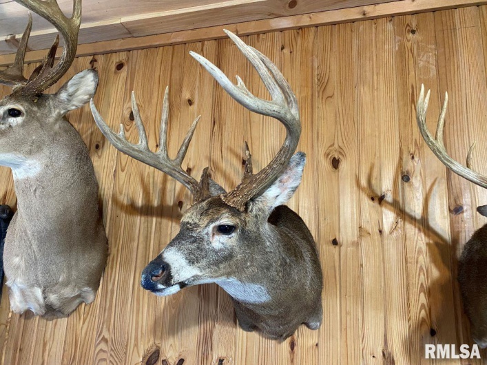 1501 DUNCAN Road, Carrier Mills, Illinois 62917, 4 Bedrooms Bedrooms, 0 ,0,Land,For Sale,DUNCAN,0,RMACA1036716