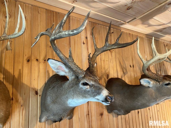 1501 DUNCAN Road, Carrier Mills, Illinois 62917, 4 Bedrooms Bedrooms, 0 ,0,Land,For Sale,DUNCAN,0,RMACA1036716