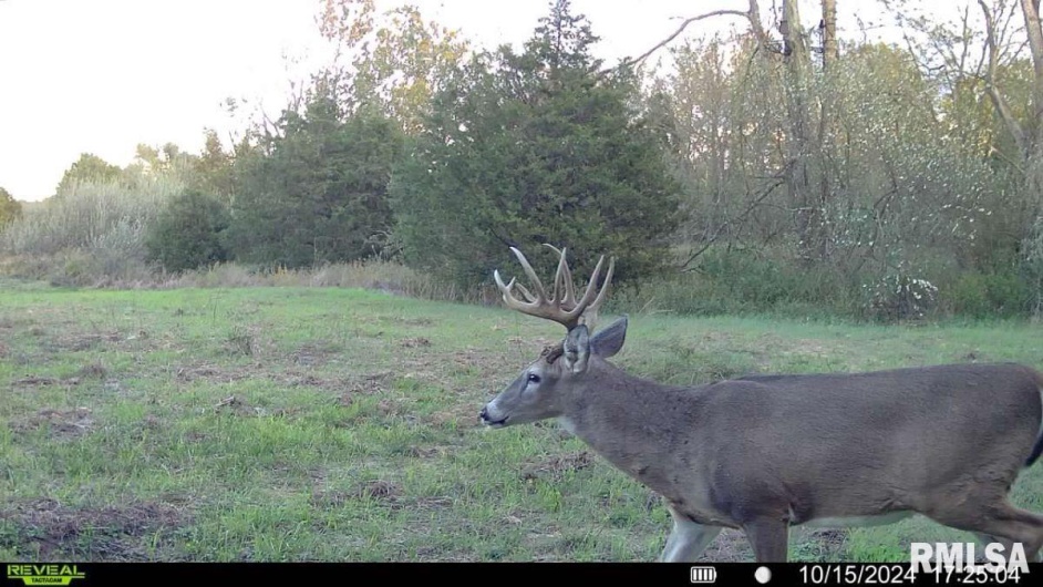 1501 DUNCAN Road, Carrier Mills, Illinois 62917, 4 Bedrooms Bedrooms, 0 ,0,Land,For Sale,DUNCAN,0,RMACA1036716