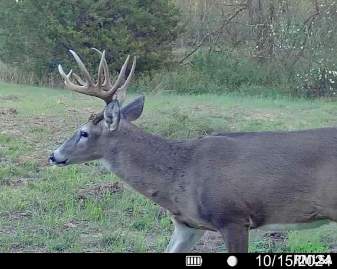 1501 DUNCAN Road, Carrier Mills, Illinois 62917, 4 Bedrooms Bedrooms, 0 ,0,Land,For Sale,DUNCAN,0,RMACA1036716