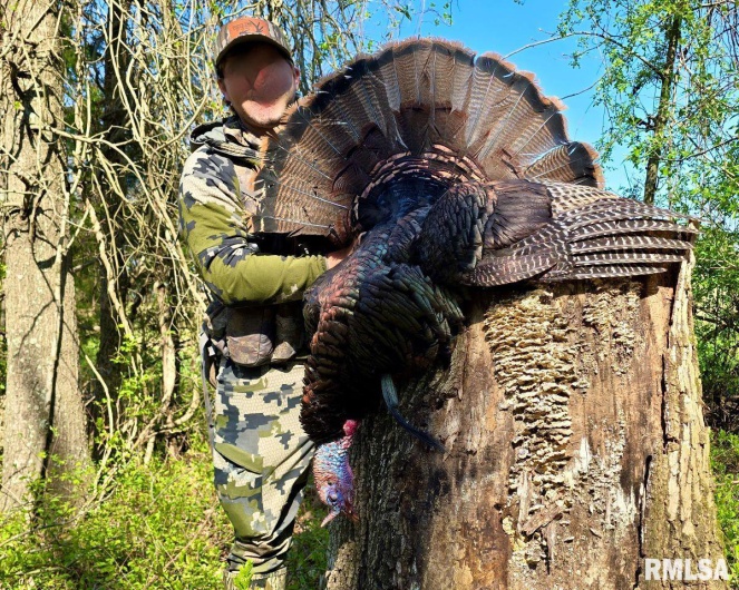 1501 DUNCAN Road, Carrier Mills, Illinois 62917, 4 Bedrooms Bedrooms, 0 ,0,Land,For Sale,DUNCAN,0,RMACA1036716