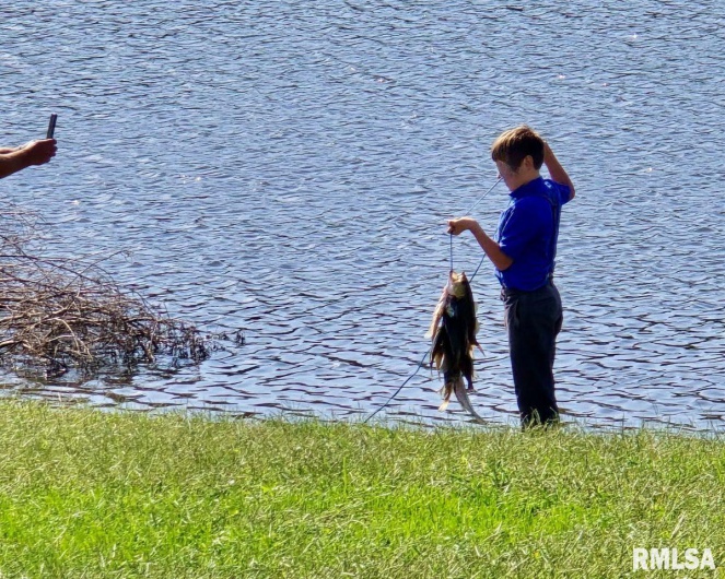 1501 DUNCAN Road, Carrier Mills, Illinois 62917, 4 Bedrooms Bedrooms, 0 ,0,Land,For Sale,DUNCAN,0,RMACA1036716