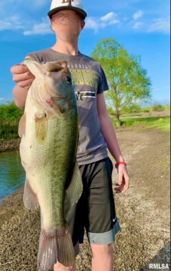 1501 DUNCAN Road, Carrier Mills, Illinois 62917, 4 Bedrooms Bedrooms, 0 ,0,Land,For Sale,DUNCAN,0,RMACA1036716