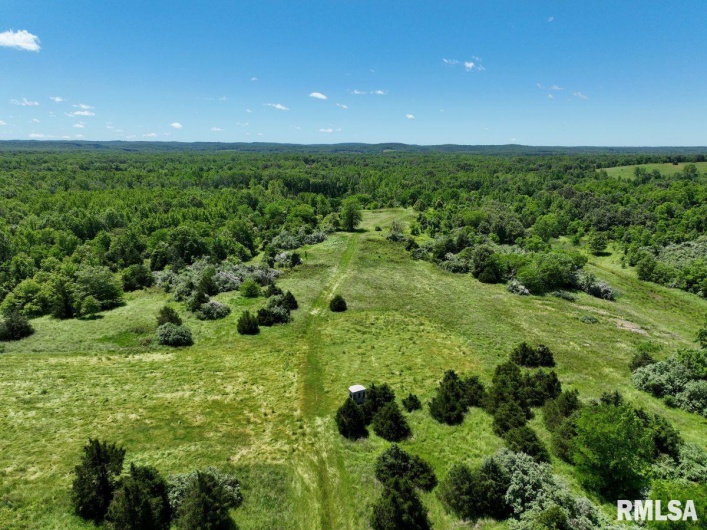 1501 DUNCAN Road, Carrier Mills, Illinois 62917, 4 Bedrooms Bedrooms, 0 ,0,Land,For Sale,DUNCAN,0,RMACA1036716