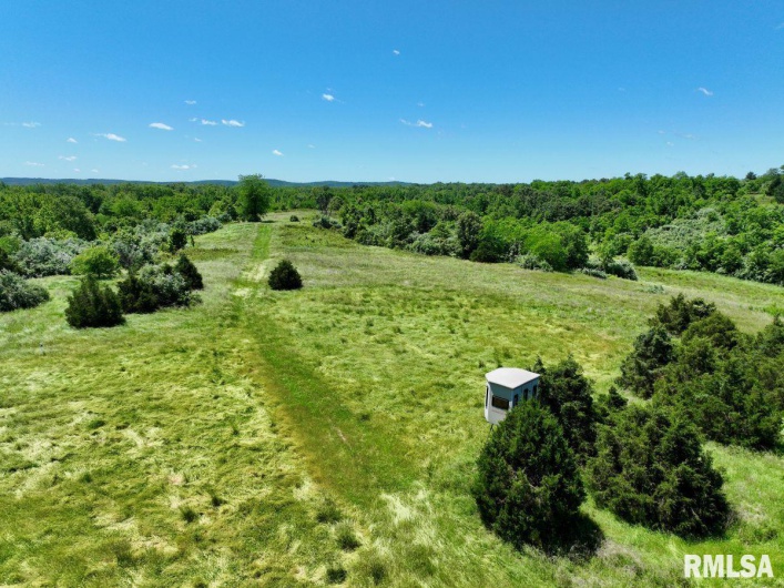 1501 DUNCAN Road, Carrier Mills, Illinois 62917, 4 Bedrooms Bedrooms, 0 ,0,Land,For Sale,DUNCAN,0,RMACA1036716