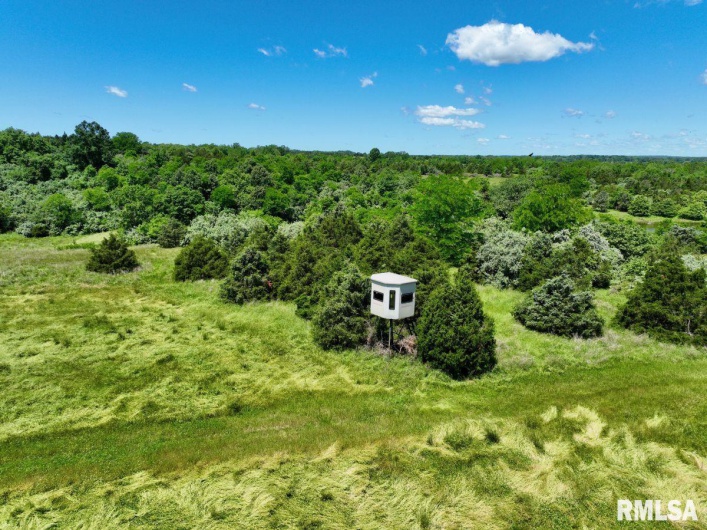 1501 DUNCAN Road, Carrier Mills, Illinois 62917, 4 Bedrooms Bedrooms, 0 ,0,Land,For Sale,DUNCAN,0,RMACA1036716