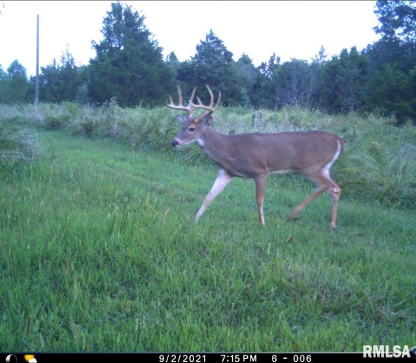 1501 DUNCAN Road, Carrier Mills, Illinois 62917, 4 Bedrooms Bedrooms, 0 ,0,Land,For Sale,DUNCAN,0,RMACA1036716