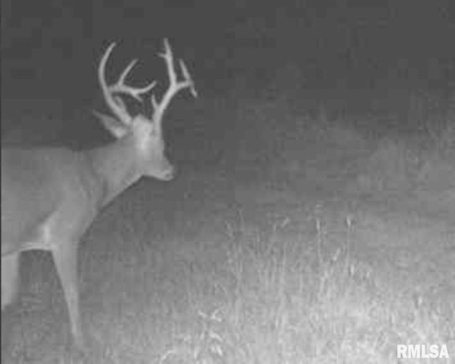 1501 DUNCAN Road, Carrier Mills, Illinois 62917, 4 Bedrooms Bedrooms, 0 ,0,Land,For Sale,DUNCAN,0,RMACA1036716