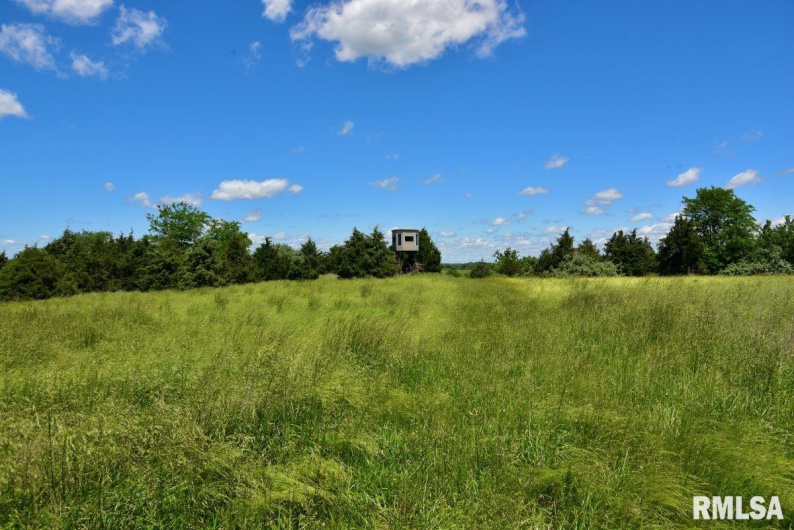 1501 DUNCAN Road, Carrier Mills, Illinois 62917, 4 Bedrooms Bedrooms, 0 ,0,Land,For Sale,DUNCAN,0,RMACA1036716