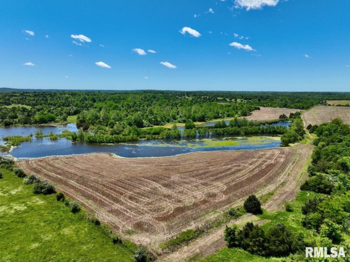 1501 DUNCAN Road, Carrier Mills, Illinois 62917, 4 Bedrooms Bedrooms, 0 ,0,Land,For Sale,DUNCAN,0,RMACA1036716